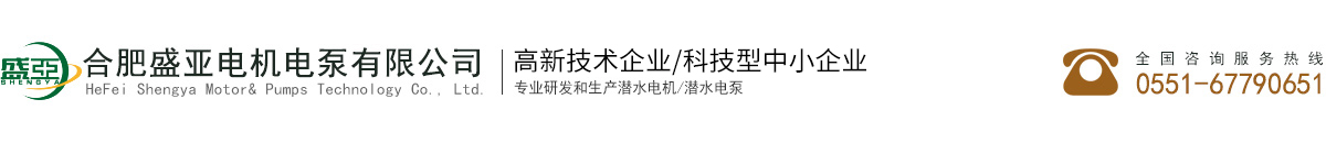 合肥盛亞電機(jī)電泵有限公司